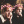 Potterhead_words