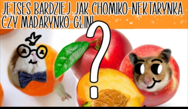 Jesteś bardziej jak chomiko-nektarynka czy mandarynko-głini?
