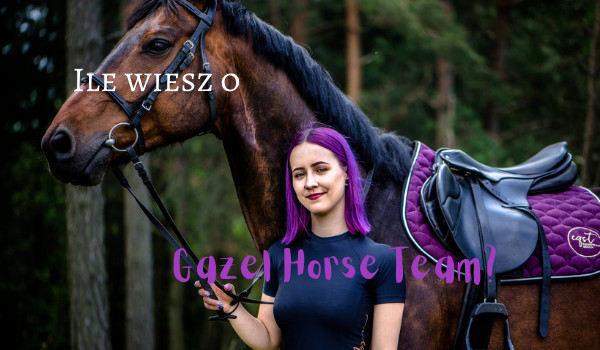 Ile wiesz o Gazel Horse Team?