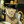 kaszalot_aka_bocian