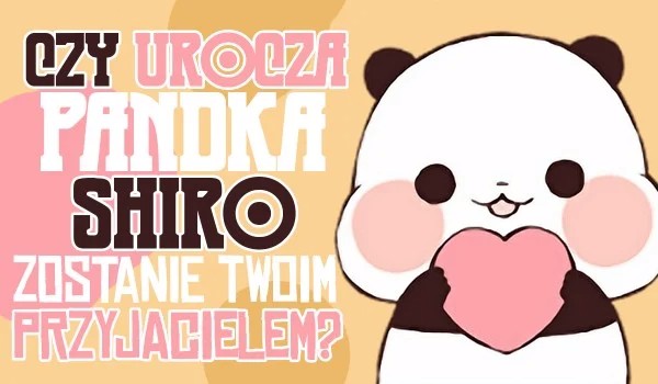Czy urocza pandka SHIRO  sostanie twoim przyjacielem ?