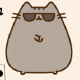 polak_pusheen