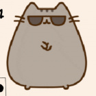 polak_pusheen