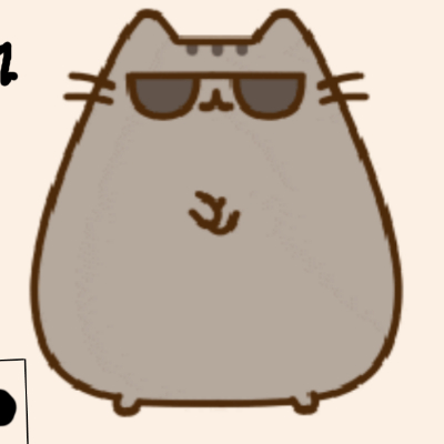 polak_pusheen