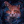 kocham_koty233