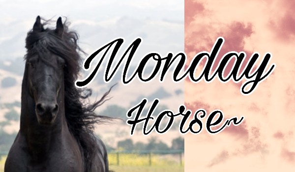 Monday Horse – Prolog-
