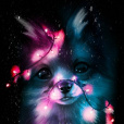 light_of_night