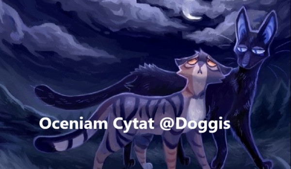 Oceniam Cytat @Doggis