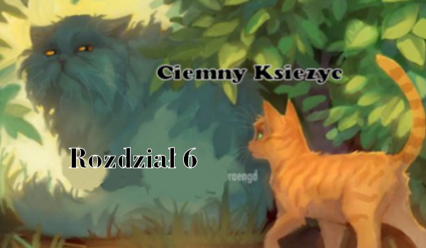 Ciemny Księżyc Rozdział 6