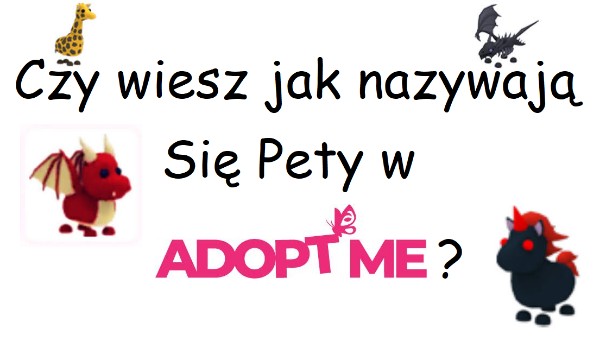 Czy wiesz jak nazywają sie Pety w ”Adopt Me” ?