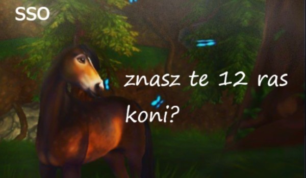 na ile znasz te 12 ras koni sso?