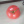 _pomidory_980