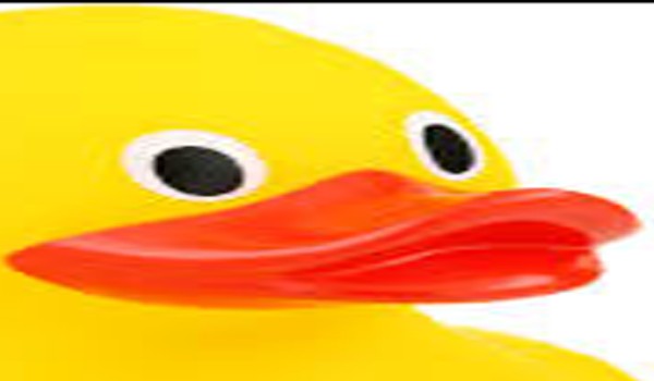 czy jesteś kaczką?