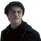harry.jest.cool