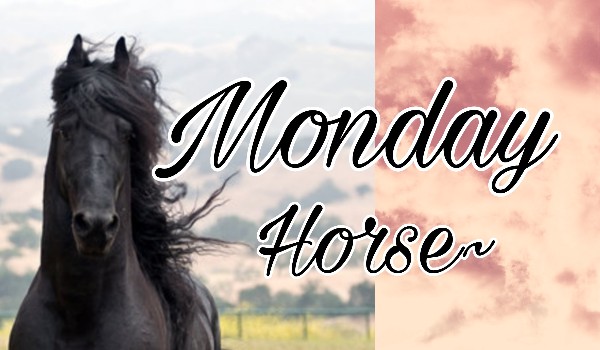 Monday Horse 1/1