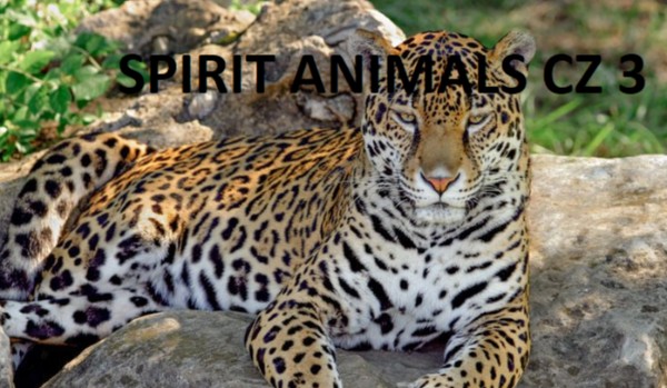 Moja historia Spirit Amimals część 3