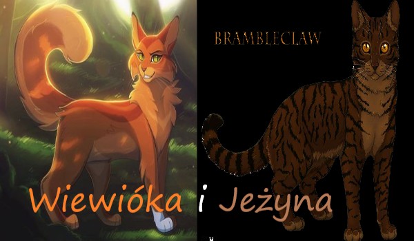 Wiewiórka i Kolec Jeżyny ~ Fanfiction Wojownicy