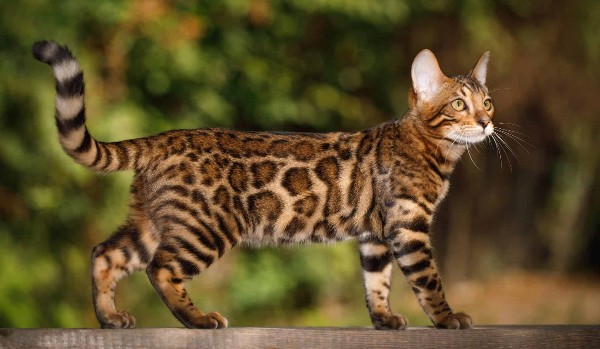 Ocenianie profili! – @Niola