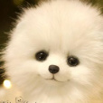 BANANA_HAWANA11