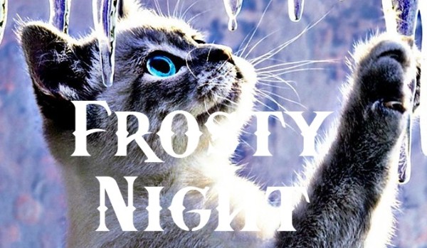 Frosty Night ~ rozdział 1