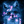 wilczeq_