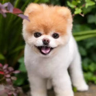 karolkevinsameQuizy.pl