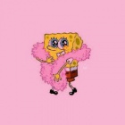 Wicia_lul_xd