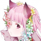 kittykociara