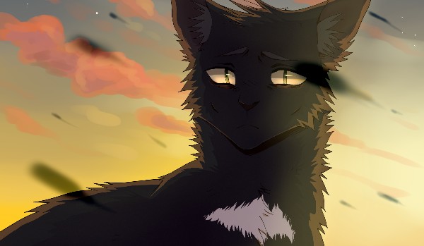 Adopcja OC do Wojowników! #2