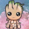 Prof.Groot