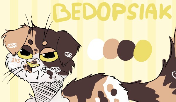 Nikola/Nero/Bedi/Twoja nowa stara TEST