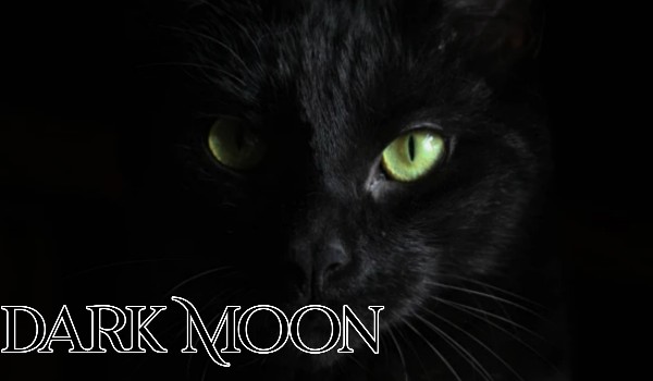 Dark Moon #1