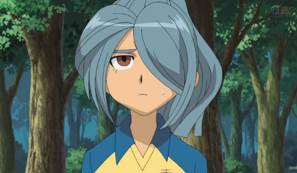 Inazuma eleven #13