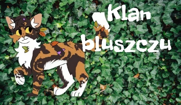 Początek | wprowadzenie