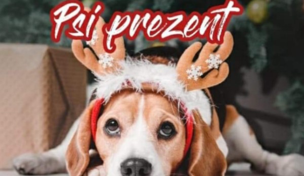 Psi prezent // rozdział 2