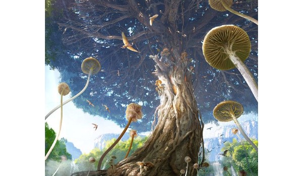 Elfis #6 Gwiazdy 28 czy 29