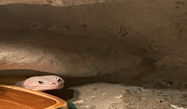 Którą data jesteś