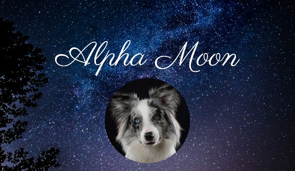Alpha Moon #2