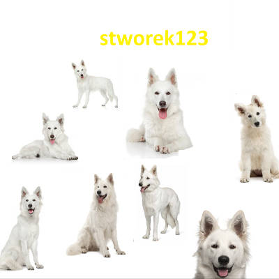 stworek123