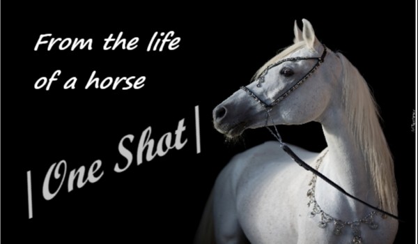 From the life of a horse  |One Shot|