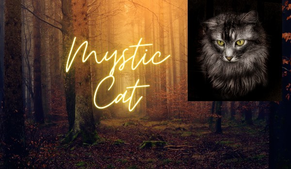 Mystic Cat #2