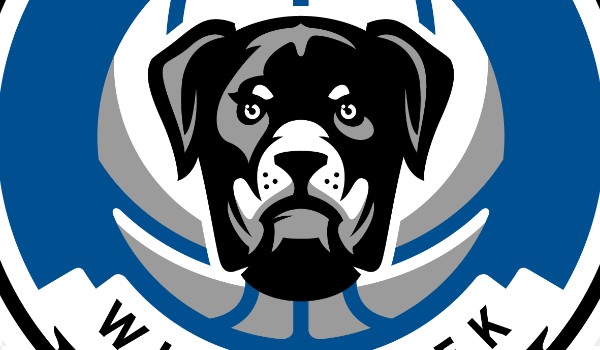 Test wiedzy o koszykowce