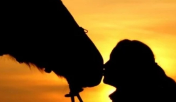 W ilu % twój koń cie kocha