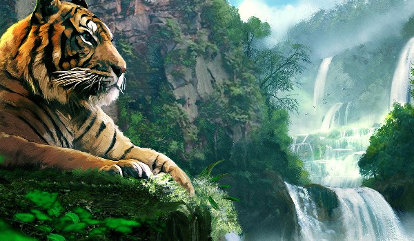 15 faktów o tygrysie( część druga serii kilka faktów o…)