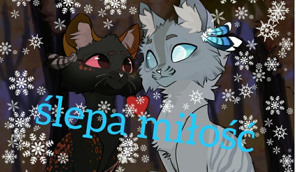 Ślepa miłość-6 rozdział