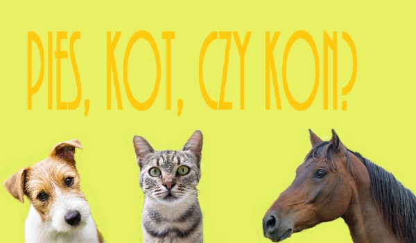 20 pytań z serii: pies, kot czy koń? O kim mowa?