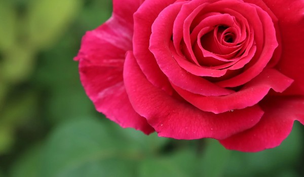 Jak bardzo znasz five night’s at freddy część 2?