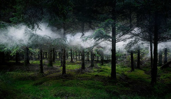 Miniaturki do oddania – gotowe miniaturki