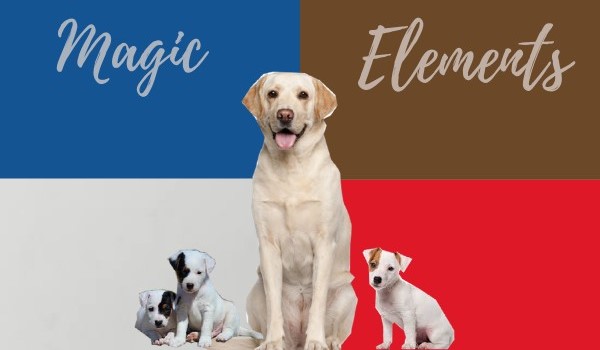 Magic Elements 1