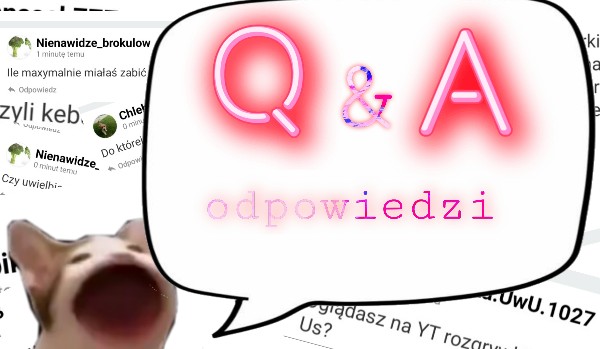 Q&A odpowiedzi